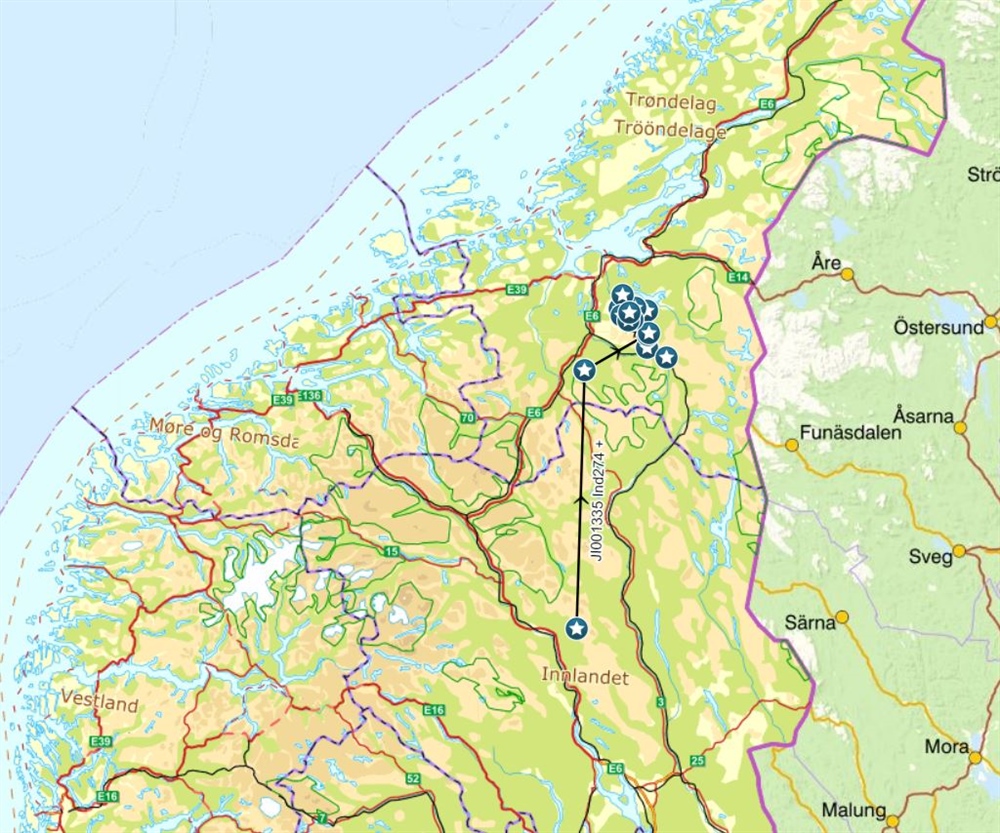 Kartet viser områdebruken til jervetispa M526900 basert på 21 observasjoner i Rovbase. Den har beveget seg fra Ringebu til flere kommuner i Trøndelag i perioden april 2008 til november 2021. Kart: Rovdata