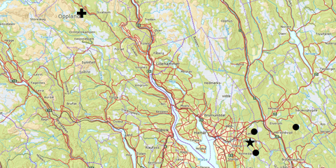 Gjenfant bjørn i Gausdal med DNA-prøver
