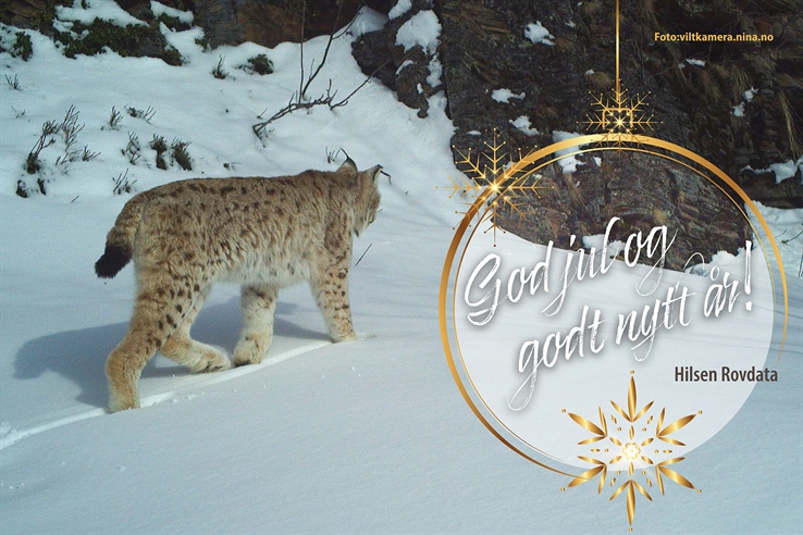 Vi ønsker dere ei god jul og et godt nytt år!